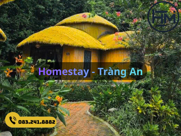 [Homestay Ninh Bình] – Ứng dụng thảm cỏ rơm vàng trong decor và lợp mái