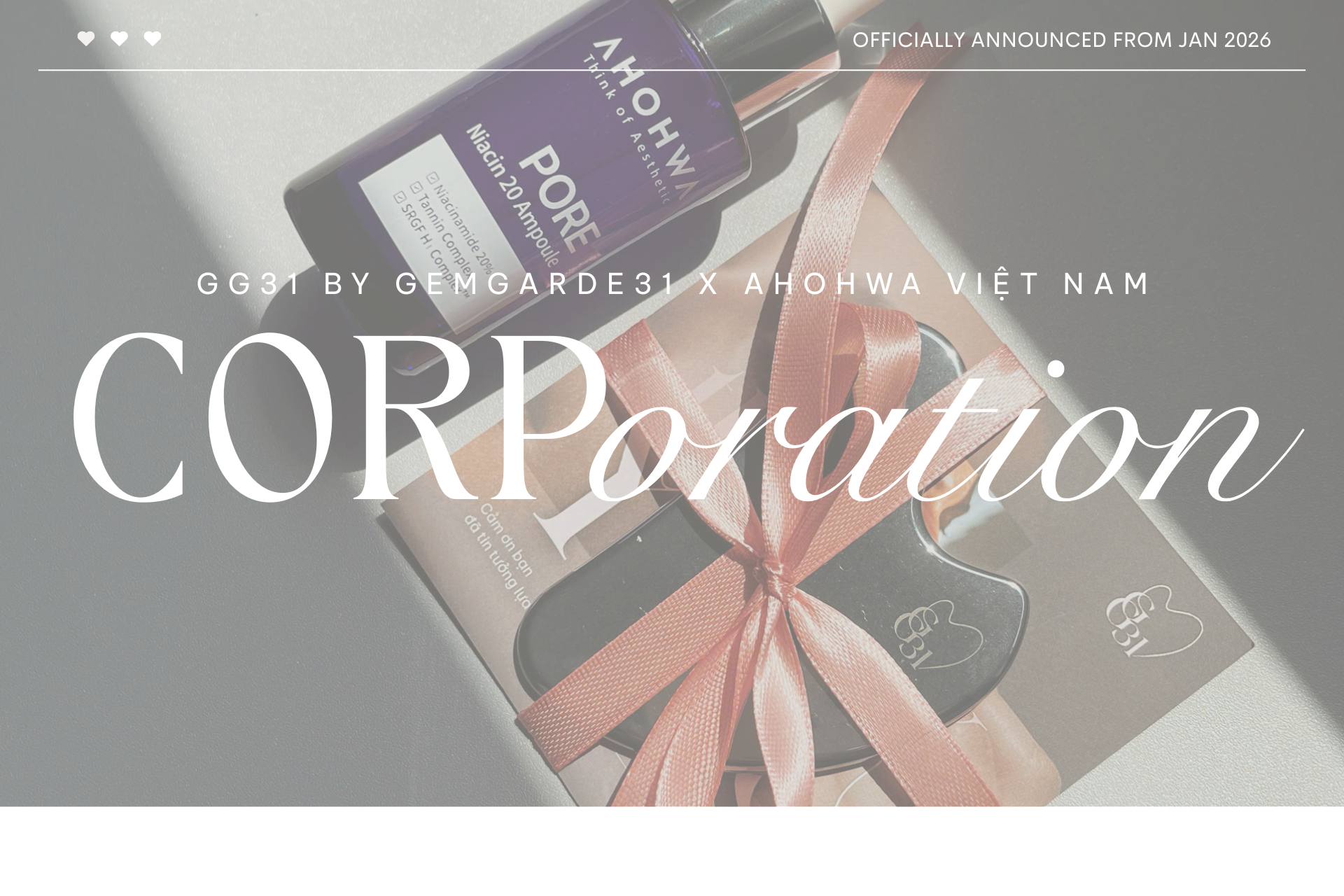 GG31 - Đại lý chính thức của Ahohwa tại Việt Nam