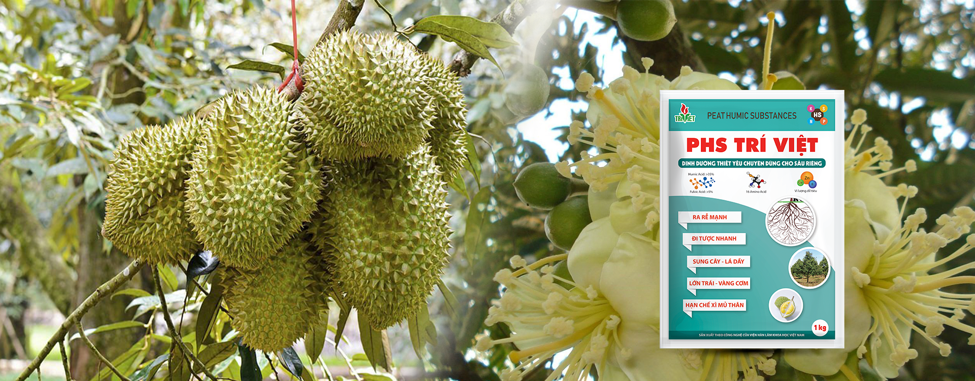 chương trình khuyến mãi 2