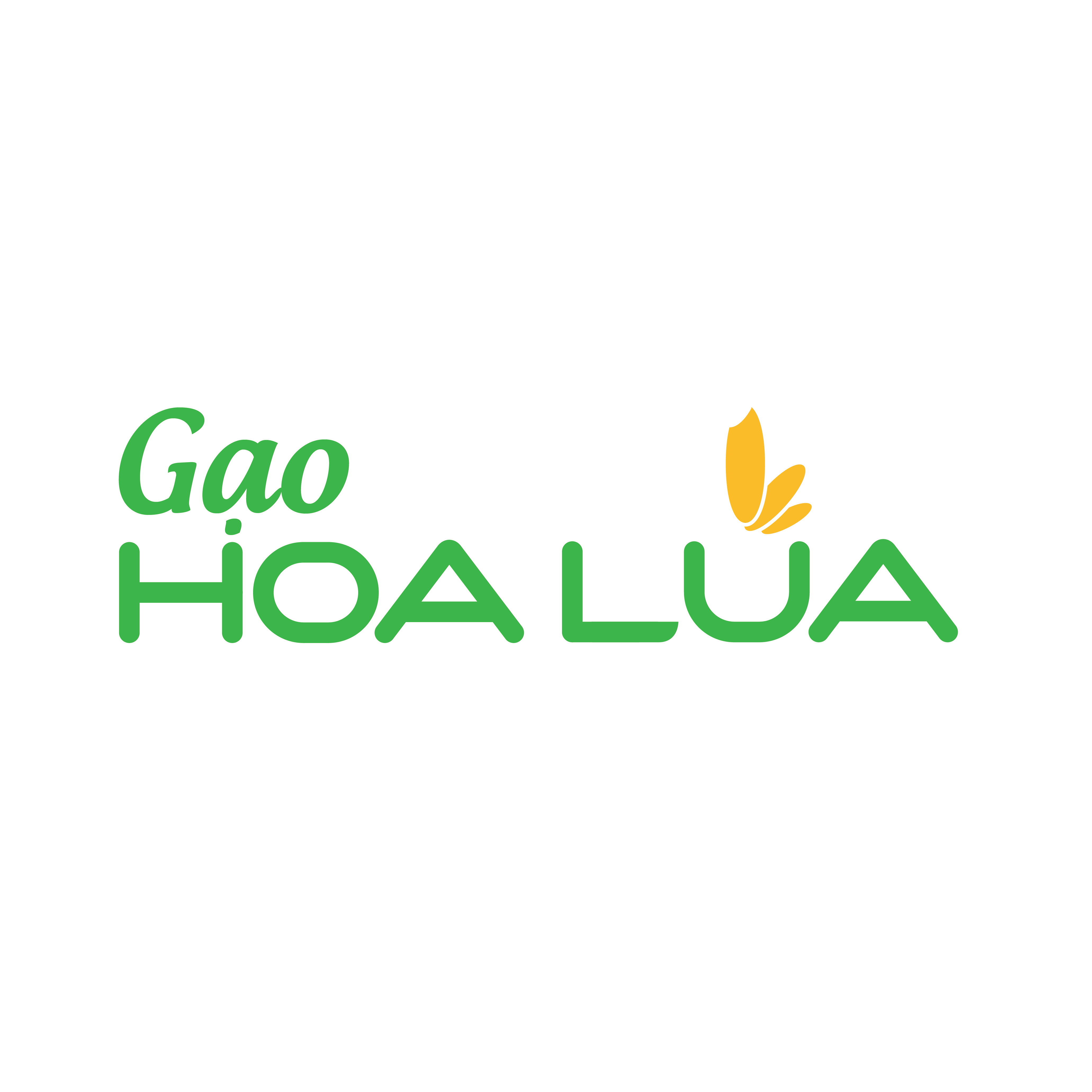 gaohoalua