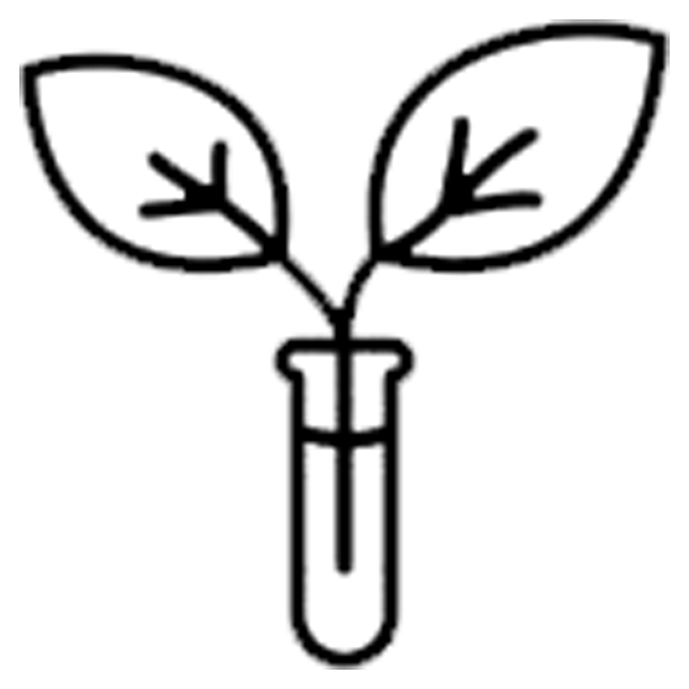 Sứ mệnh & Tầm nhìn 