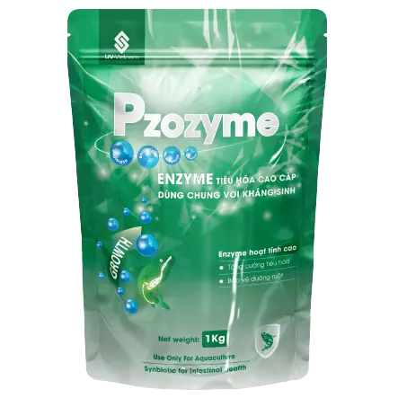 PZOZYME