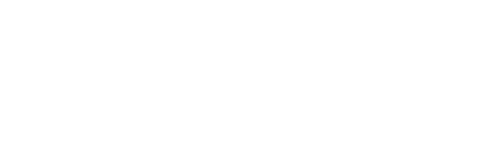 logo TOPONE PICKLEBALL - Thiên Đường Mua Sắm Thể Thao Pickle Ball Hà Nội