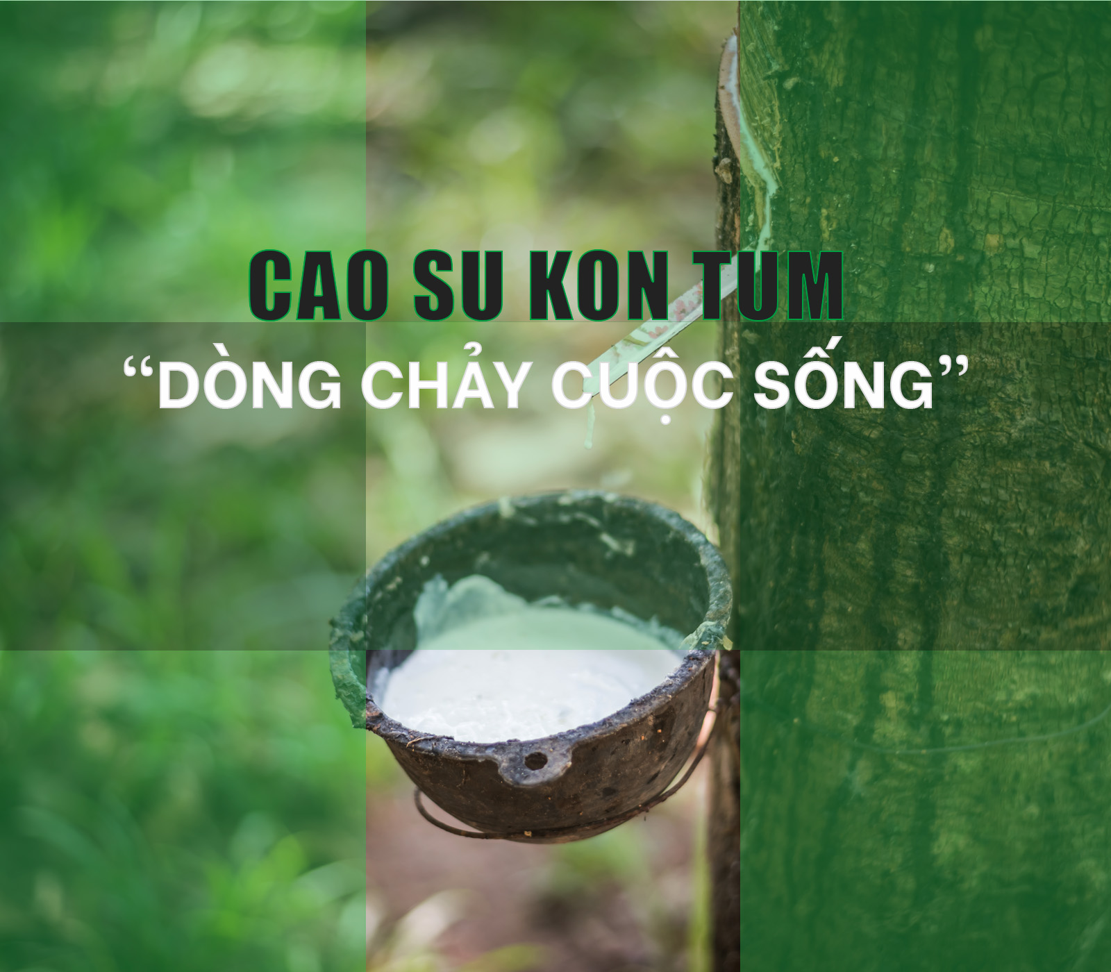 SẢN PHẨM CHẤT LƯỢNG