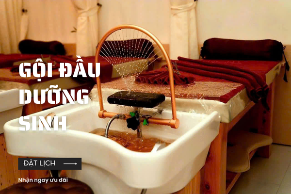Gội đầu dưỡng sinh