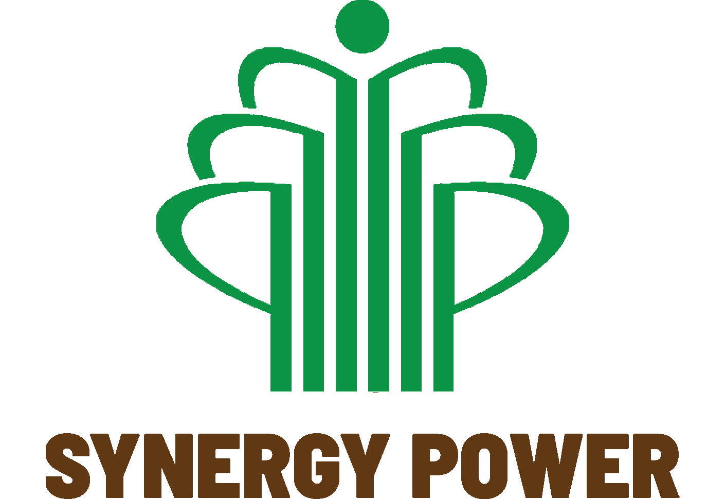 Synergy Power