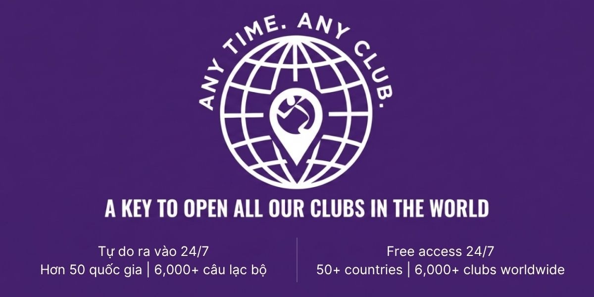 Brand Banner