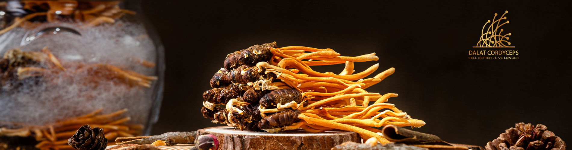 Sản phẩm nổi bật