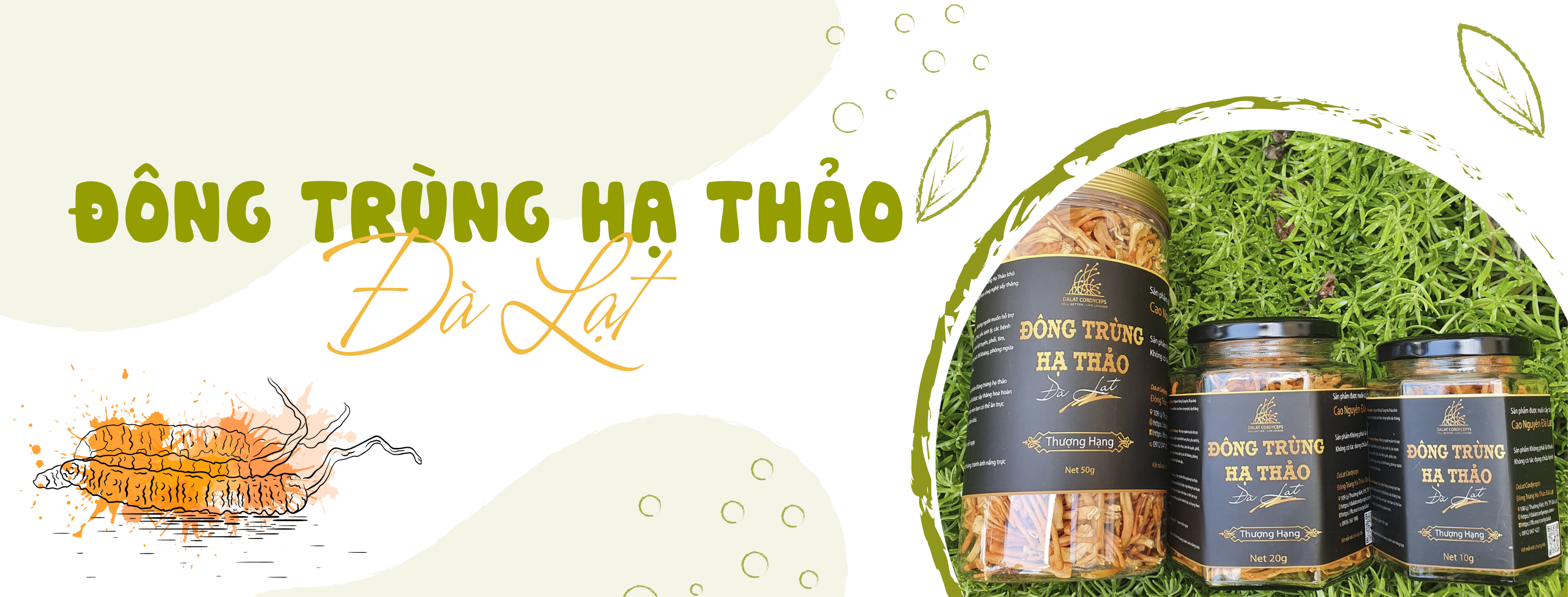 Sản phẩm nổi bật