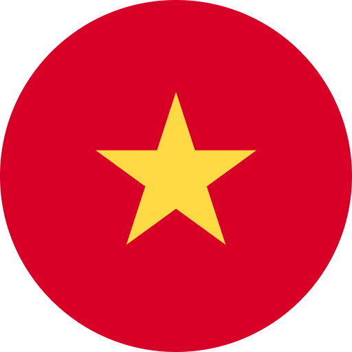 logo-vi
