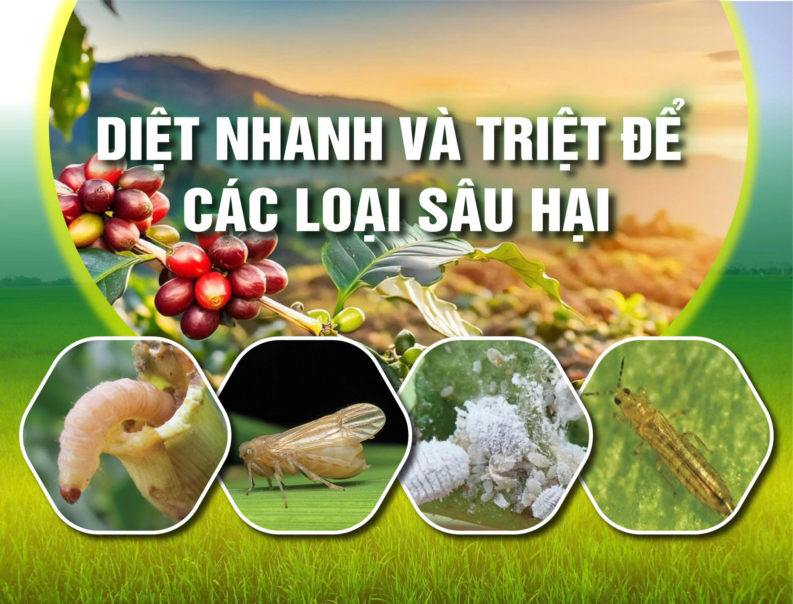 Sự kết hợp hoàn hảo