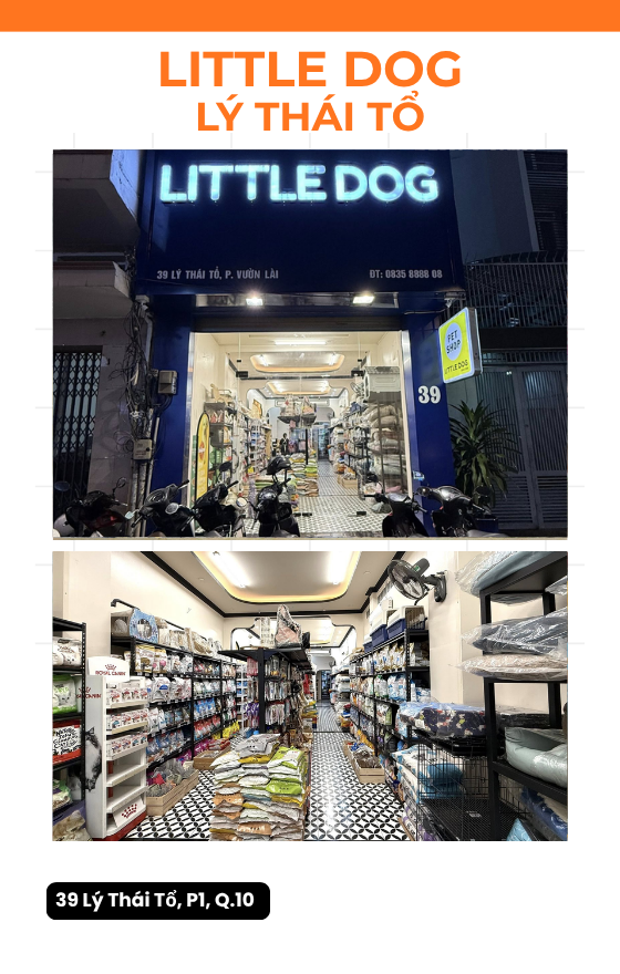Little Dog - Lý Thái Tổ