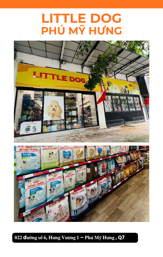 Little Dog - Phú Mỹ Hưng