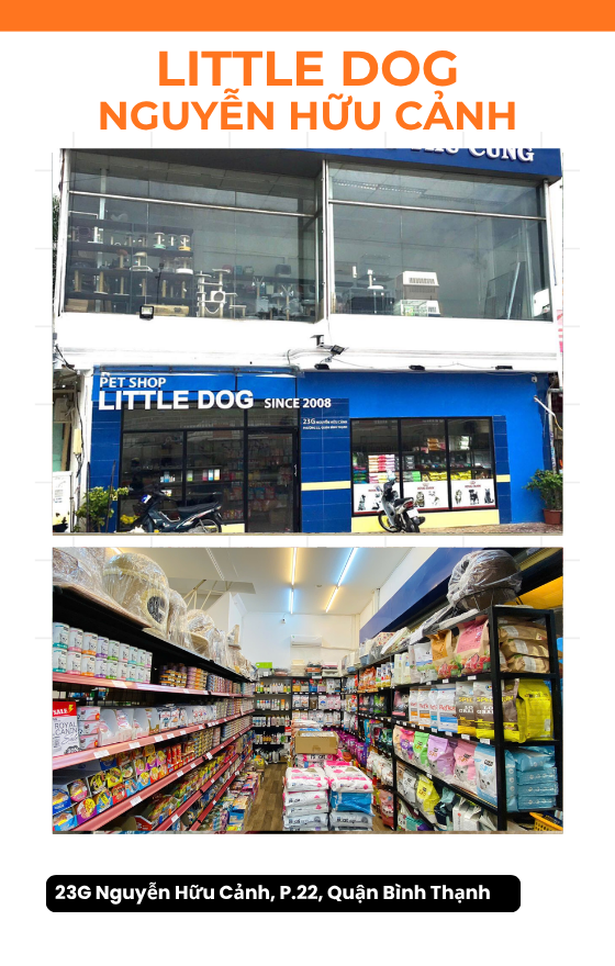 Little Dog - Nguyễn Hữu Cảnh
