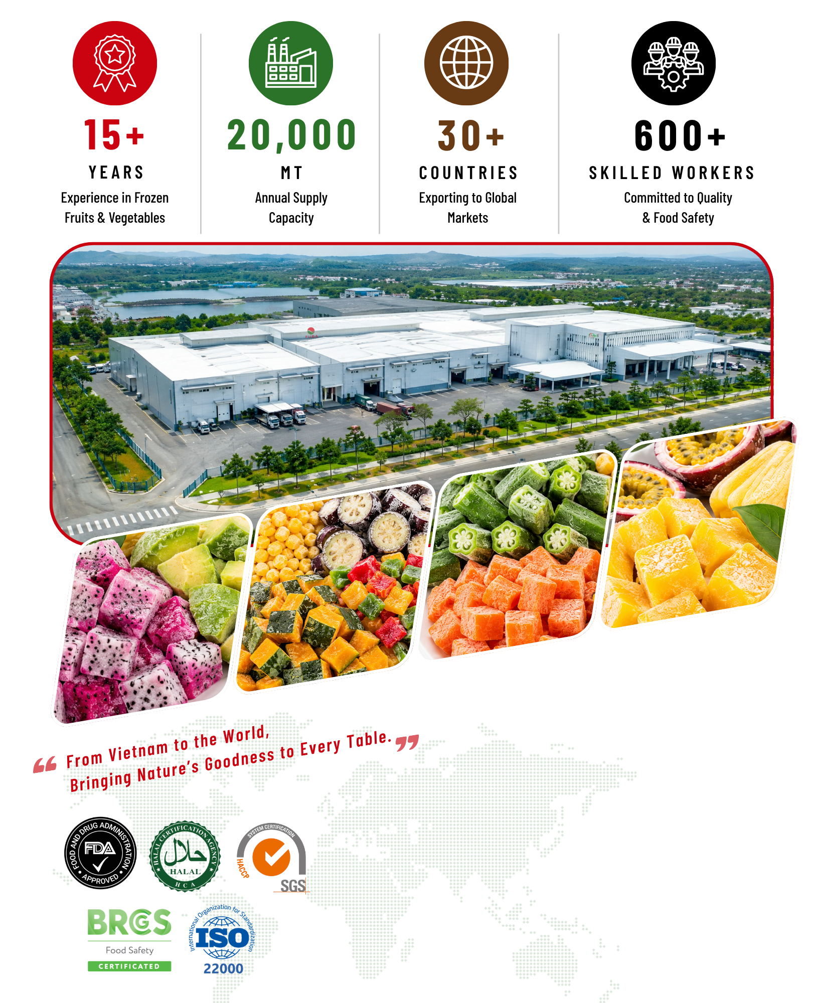 Frozen Fruits & Vegetables Supplier