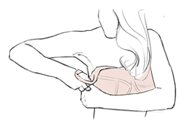 Thiết kế chuyên dụng
