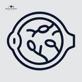 Diabetic Retinopathy Management