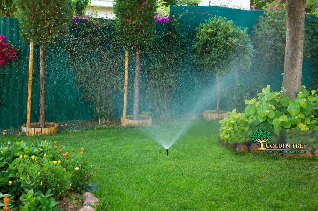 mang thiên nhiên tới gần bạn hơn mỗi ngày