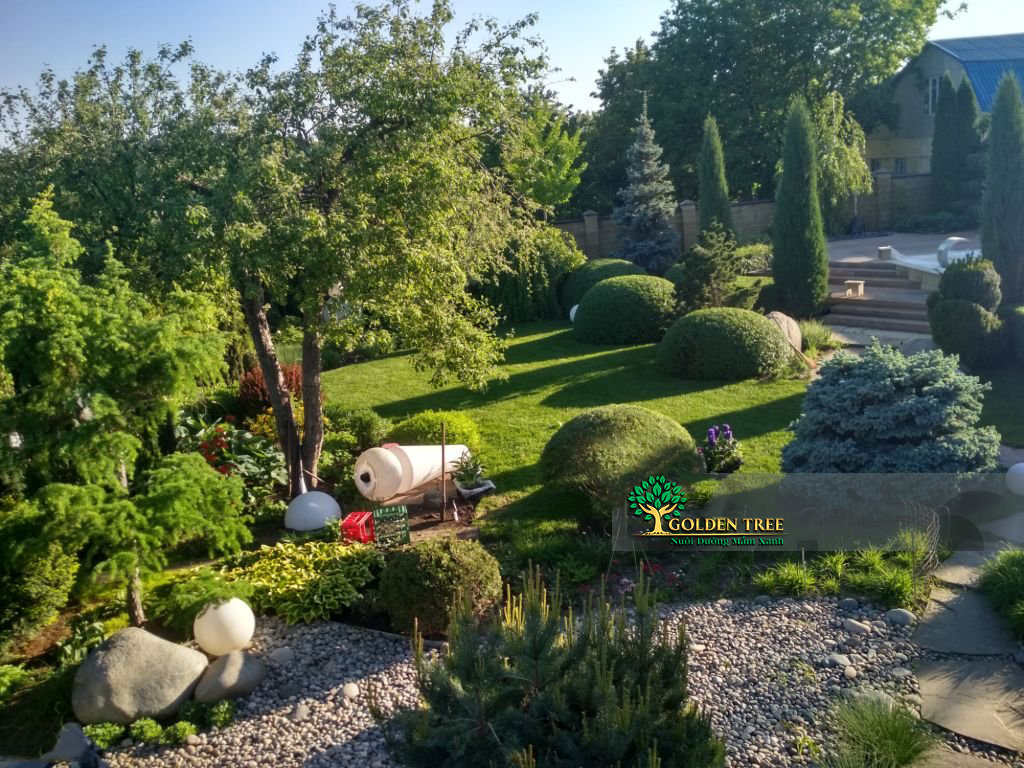 chăm sóc khu vườn hằng ngày thay bạn