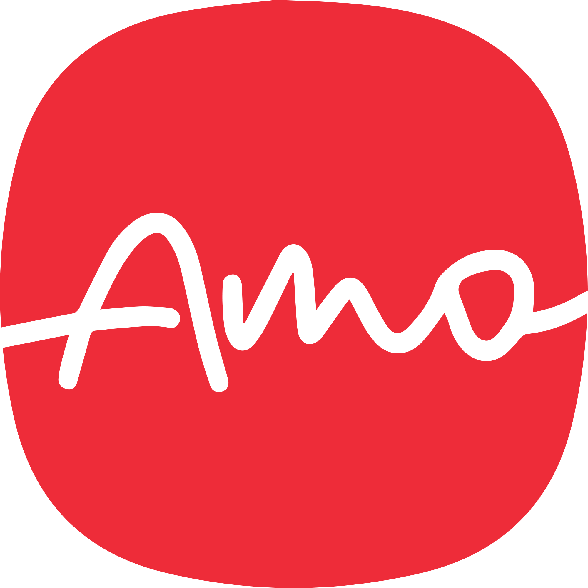 AMO AGENCY