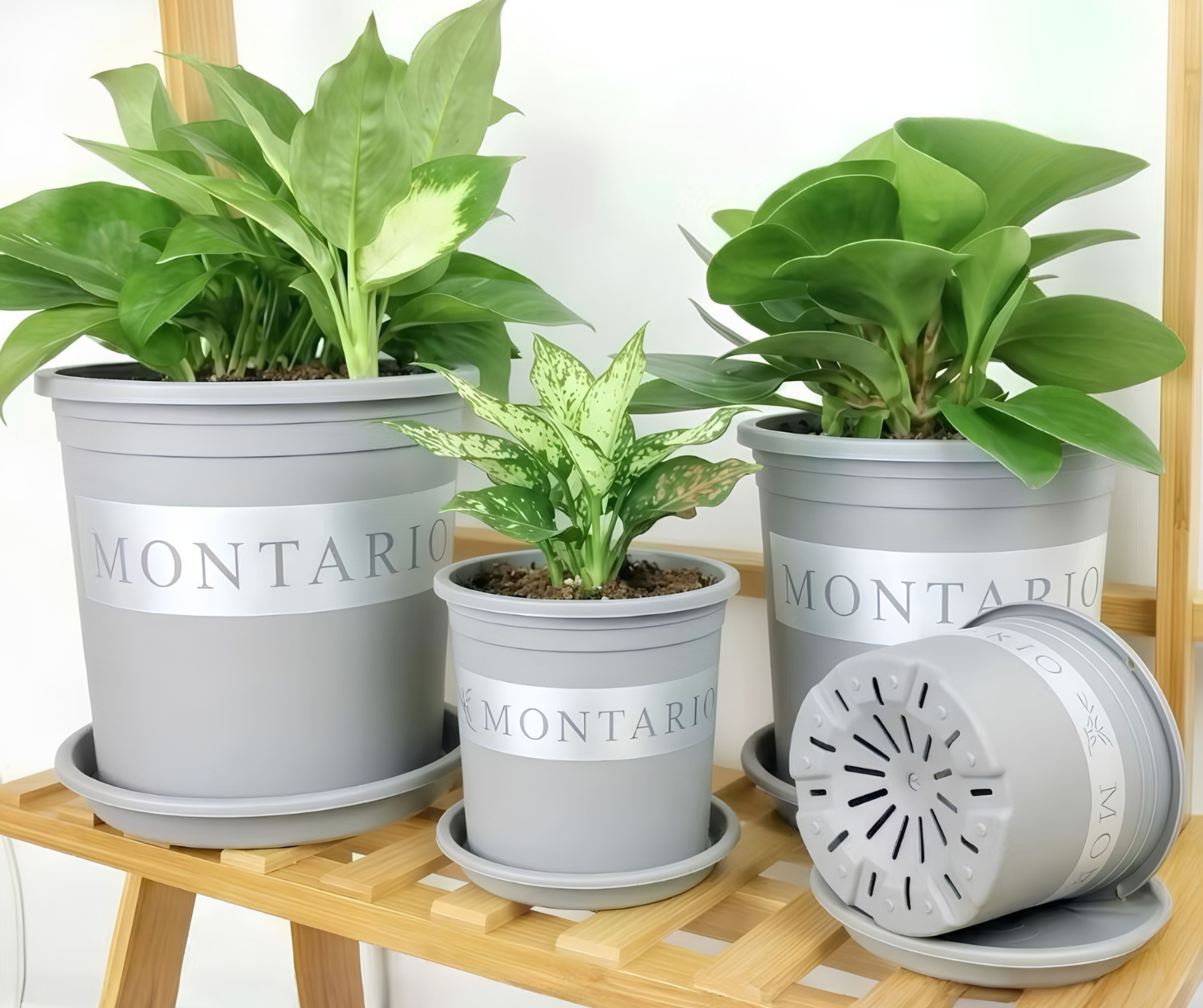 VIETPOT