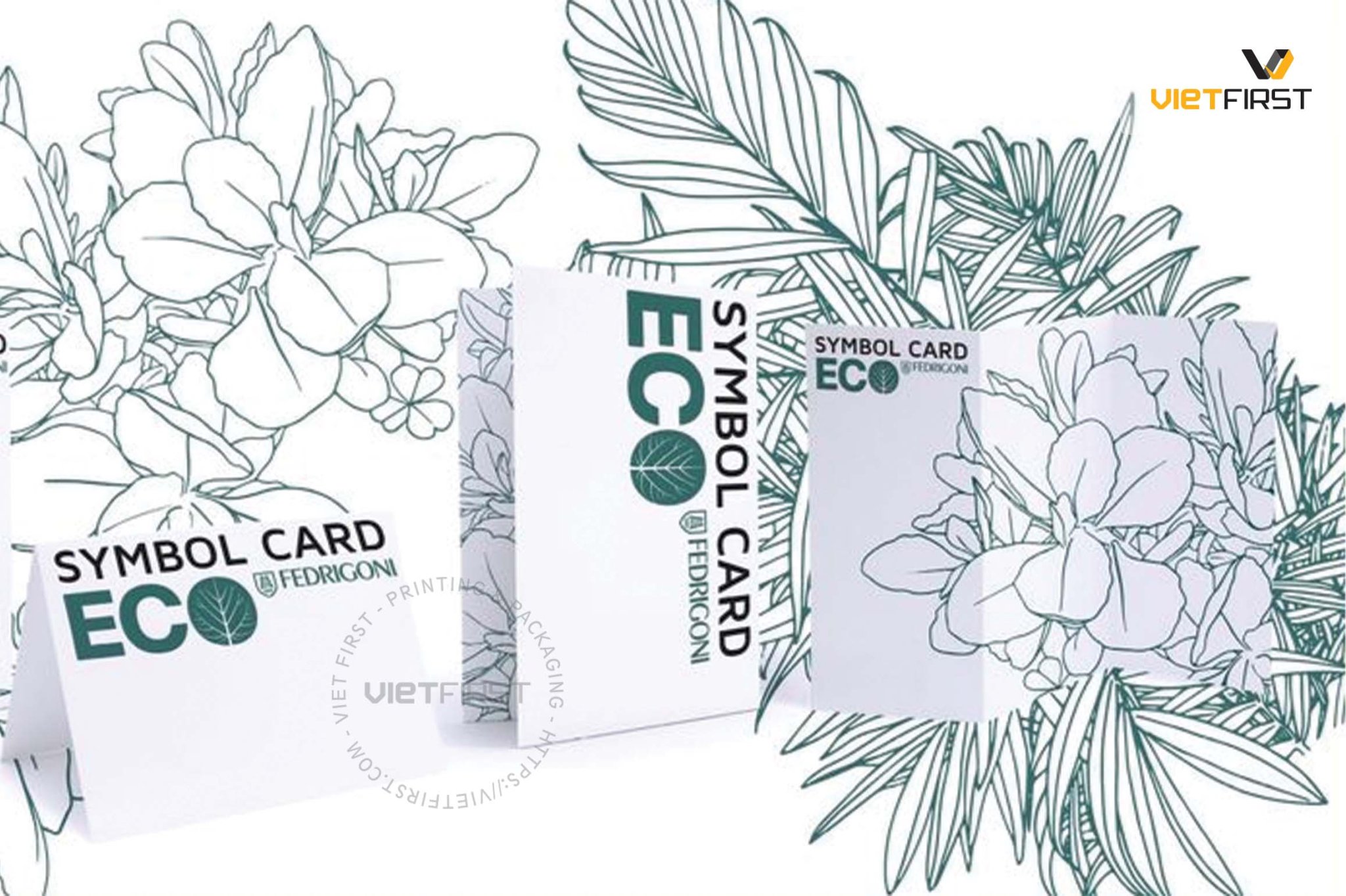 05 loại giấy mỹ thuật