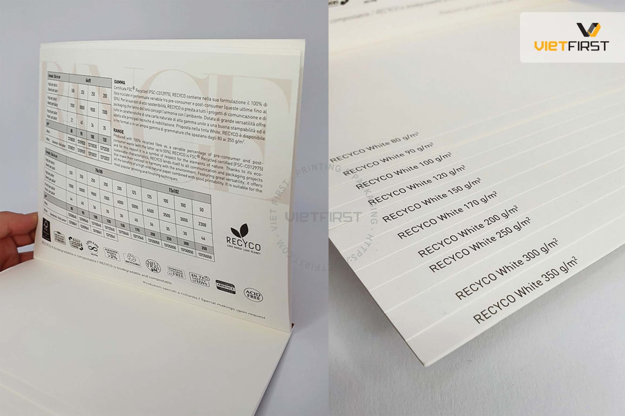05 loại giấy mỹ thuật