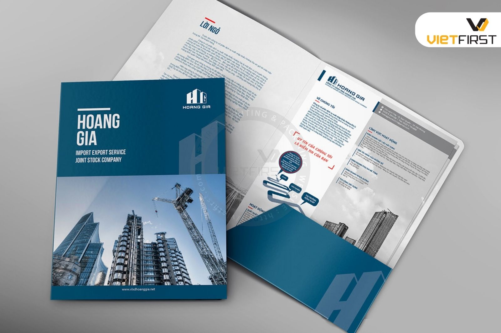 Hồ sơ năng lực cao cấp