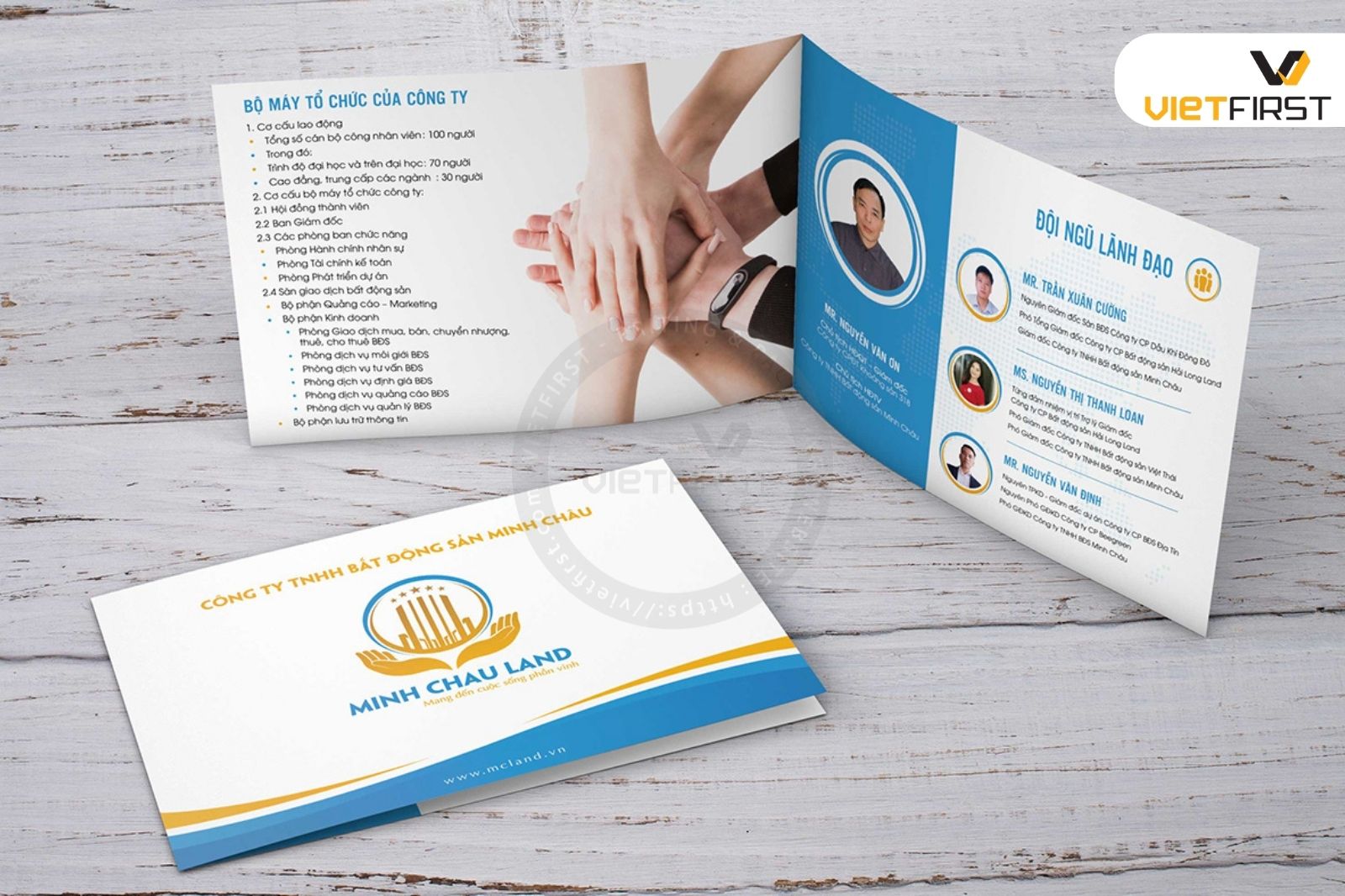 Hồ sơ năng lực cao cấp
