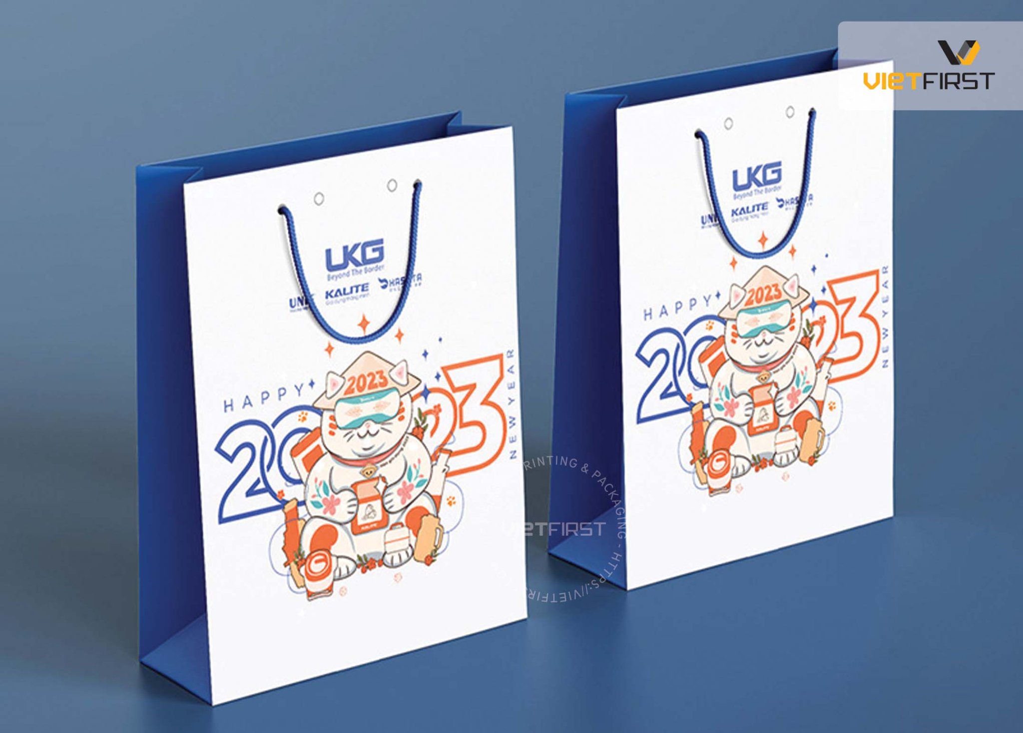 Túi đựng quà tết