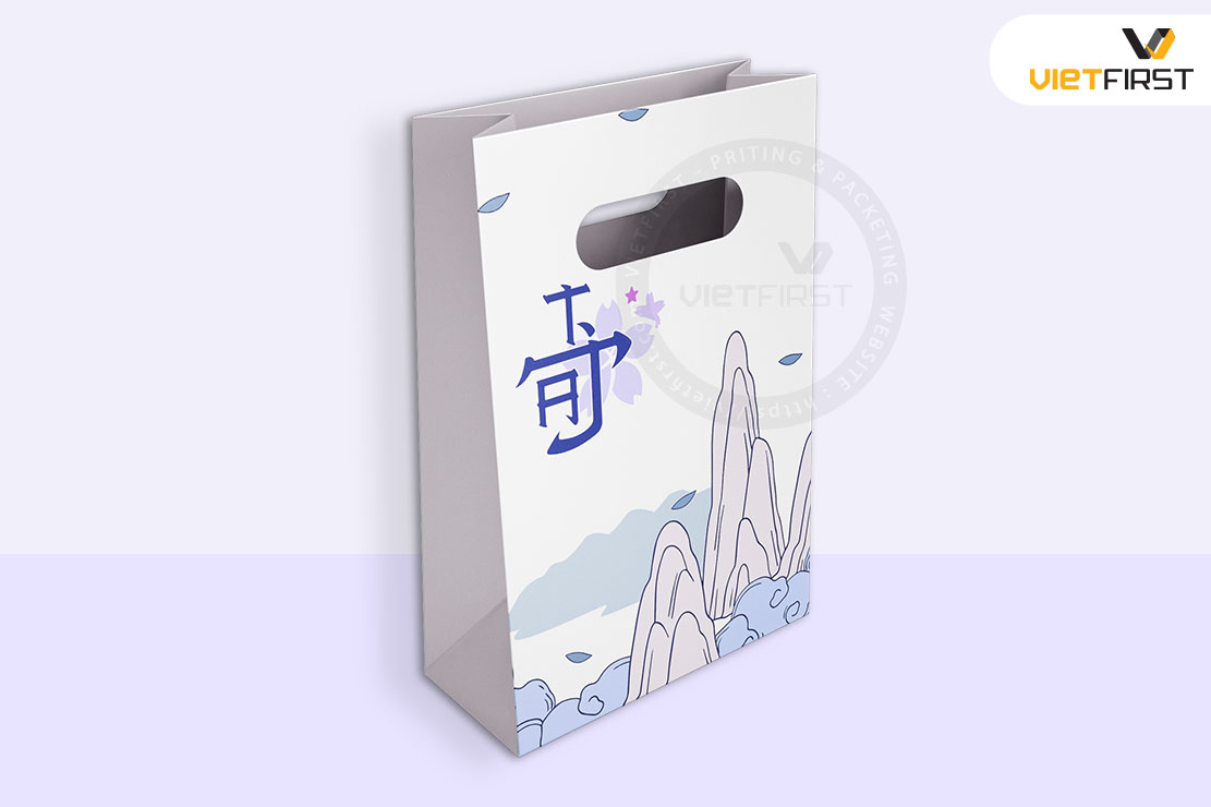 Túi hột xoài