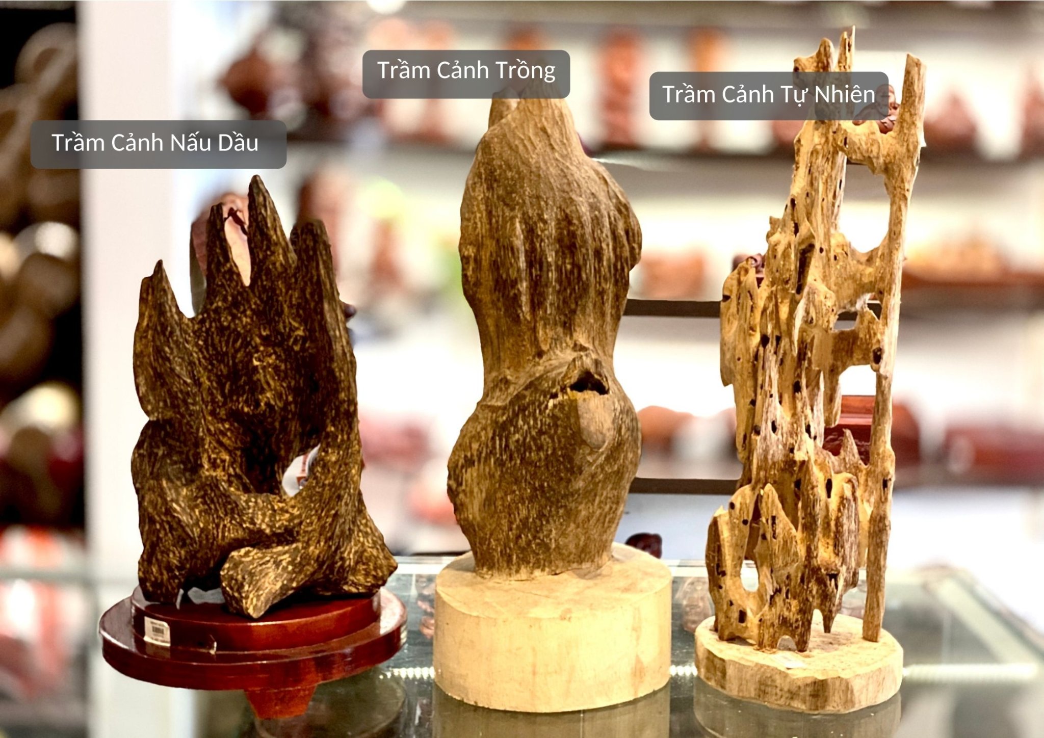 Các loại sản phẩm Trầm hương Trồng, Trầm hương Thiên nhiên được phân biệt qua hình ảnh