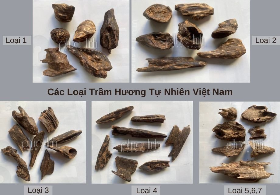 Trầm hương tự nhiên Viejt Nam từ độ 1 đến 7