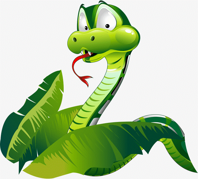 Tuổi Kỷ Tỵ được tính từ ngày 06/02/1989 đến ngày 26/01/1990.