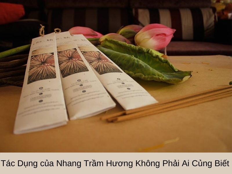 Có nên đốt Trầm Hương trên bàn thờ? Thay vì sử dụng những loại nhang hóa chất độc hại, hiện nay người tiêu dùng rất ưa chuộng dòng nhang trầm hương nguyên chất bởi mùi hương nhẹ nhàng, dễ chịu, an toàn với sức khỏe.