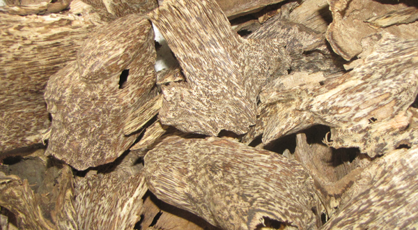 Mua Trầm Hương tại Quảng Ninh