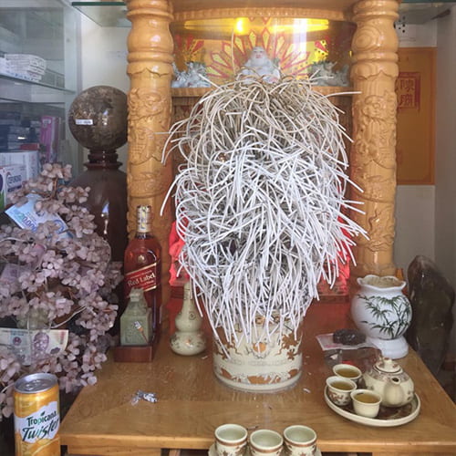 Nhang cuốn tàn quá nhiều khiến bàn thờ trông mất đi vẻ trang nghiêm