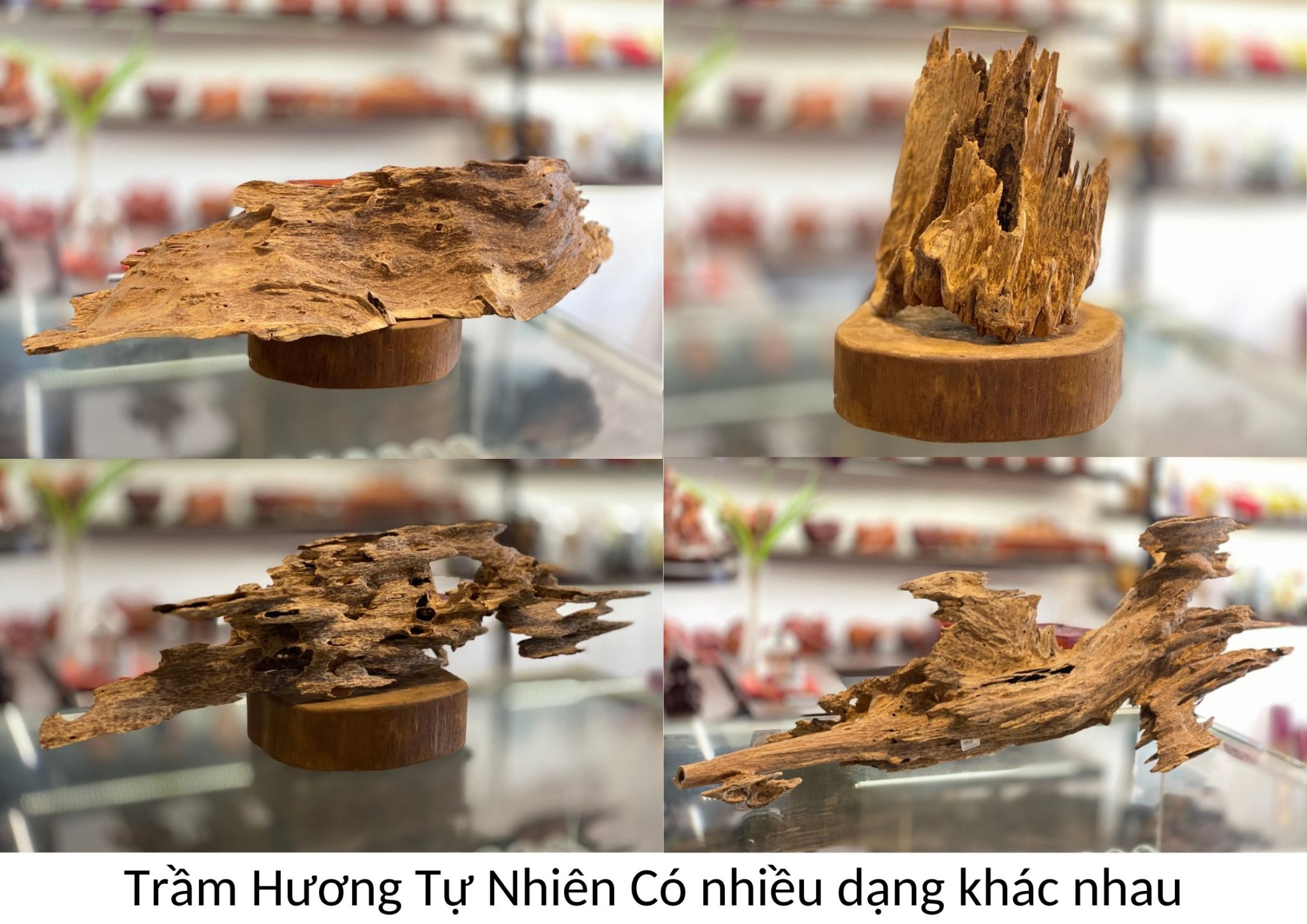 Trầm Cảnh Tự Nhiên