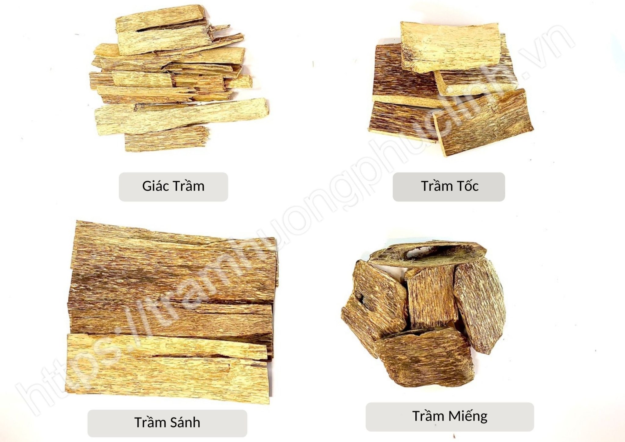 Các cấp độ trầm hương trồng nhân tạo