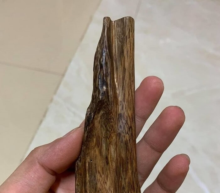 Mùi hương của Trầm Lào thơm ngọt, khi ma sát với cổ tay sẽ có mùi hương đặc trưng