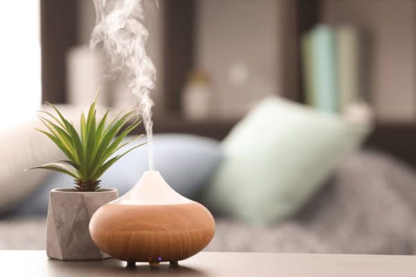 Cách xông nhà bằng tinh dầu cực kỳ đơn giản. Bạn chỉ cần chuẩn bị một chiếc đèn xông hương và chọn loại tinh dầu yêu thích. Sau đó, đổ tinh dầu vào đèn xông để tinh dầu tự khuếch tán vào không khí và lan tỏa khắp ngôi nhà.