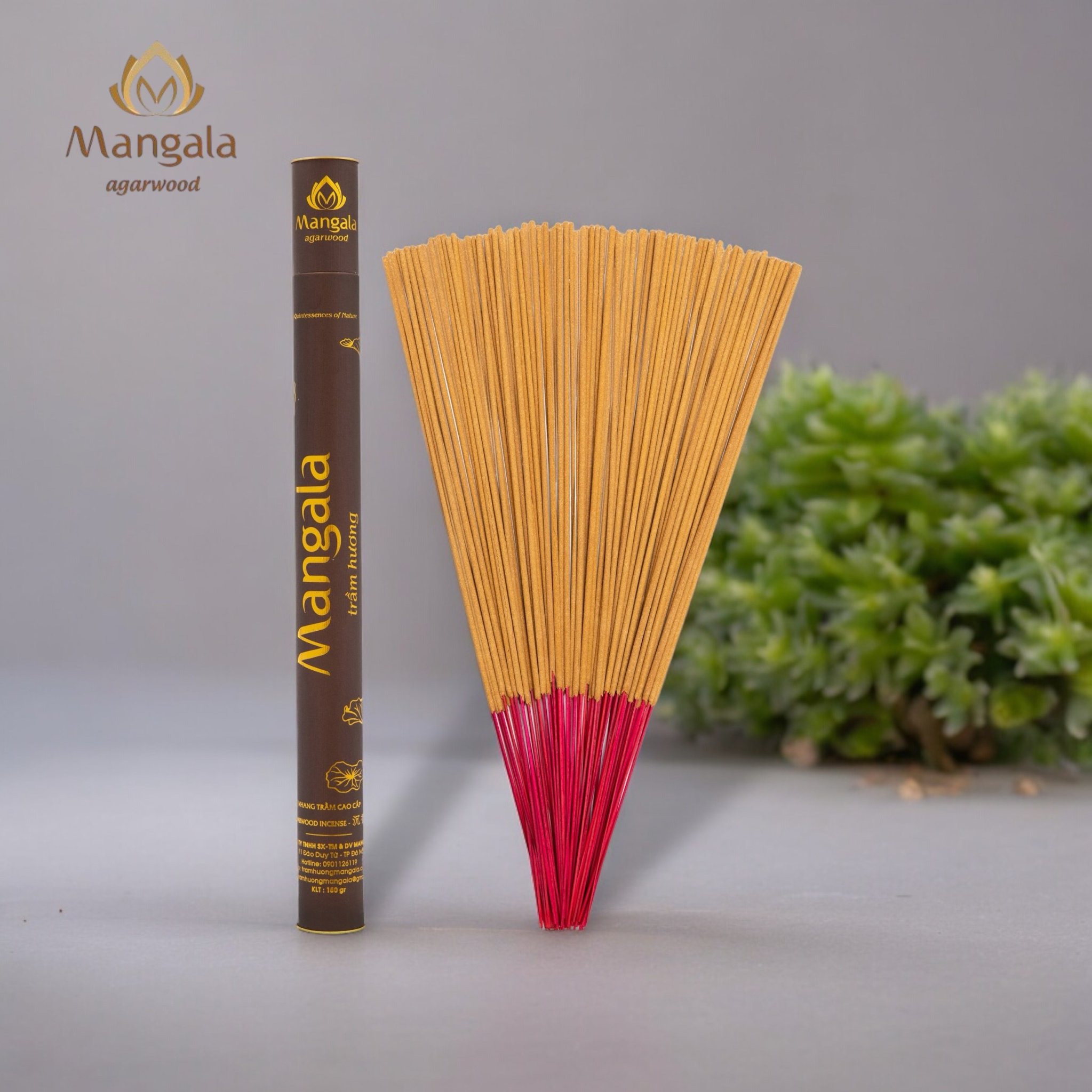 Nhang Trầm Hương Núi MANGALA Ống Nâu 38cm
